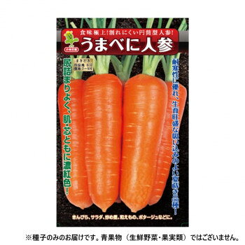 小林種苗 ニンジン種子 うまべに 4678 20ml【メーカー直送：代金引換不可：同梱不可】【北海道・沖縄・離島は配達不可】