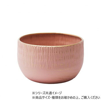 ※パッケージ、デザイン等は予告なく変更される場合があります。※画像はイメージです。商品タイトルと一致しない場合があります。鉄製なのに水漏れしない花器です。シンプルで工業的だけれども、様々な生花やグリーンに合います。注意点もらいサビ:錆びの発生を抑える加工をしておりますが、鉄粉の付着やもらいサビにより錆の発生が早まる場合がございます。ご使用前に水で内側(特に底の隅)を洗浄してからご使用いただくと、より錆びの発生抑制できます。個体差:色は個体差がございますが、お選びいただけません。また、不良対象とはなりません。※素材の特性上、炎天下では非常に熱くなる場合がございます。やけどにご注意ください。※色は個体差がございますがお選びいただけません。また不良対象とはなりません。※叩く際に、固いもの・鋭利なものをご使用になりますと傷がつく事がございますので、ご注意ください。※外れた際に下段が落下することがありますので、床から高くない位置で作業を行っていただき、商品や床に傷や凹みがつかないよう、床に段ボールなどの衝撃吸収材を置くことをお勧めします。サイズΦ13×H8cm個装サイズ：18×18×13cm重量約150g個装重量：500g素材・材質鉄生産国中国広告文責:株式会社ホームセンターセブンTEL:0978-33-2811※パッケージ、デザイン等は予告なく変更される場合があります。※画像はイメージです。商品タイトルと一致しない場合があります。fk094igrjs