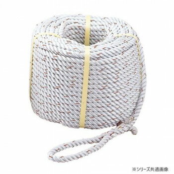 乐天商城 - プロメイト ナイロンロープ三ッ打ち　φ12x100m R-1210N【メーカー直送：代金引換不可：同梱不可】【北海道・沖縄・離島は配達不可】