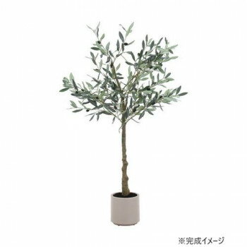 不二貿易 C/D:28054 フェイクグリーン オリーブ 120cm ジョイント【メーカー直送：代金引換不可：同梱不可】【北海道・沖縄・離島は配達不可】