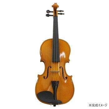 HOSCO(ホスコ) 楽器組立キット バイオリンキット V-KIT-1【メーカー直送：代金引換不可：同梱不可】【北海道・沖縄・離島は配達不可】