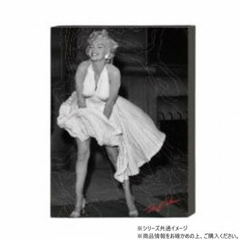 九州フラワーサービス インテリアウォールアートキャンバス　モンロースタイル　Type.C　Lサイズ 78196..