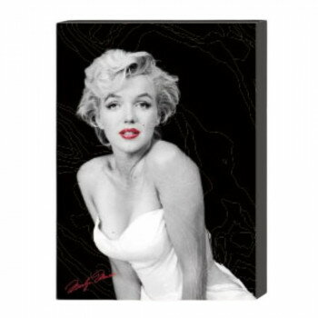 九州フラワーサービス インテリアウォールアートキャンバス　モンロースタイル　Type.G　Sサイズ 78210..