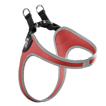 Supplies - （ペット） TRE PONTI フィッビア　リフレクティブ レッド 2号 LTP110【メーカー直送：代金引換不可：同梱不可】【北海道・沖縄・離島は配達不可】
