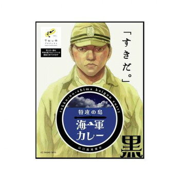 特攻の島黒カレー 10食セット【メーカー直送：代金引換不可：同梱不可】【北海道・沖縄・離島は配達不可】