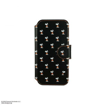 SNGG-210B [�W���[�E�N�[��]