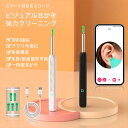 可視耳かき、カメラ、LED、耳かき、ワイヤレス、発光、内視鏡アプリツール、スマート高画質、耳の清潔、ピンセット、耳垢、清潔、子供用、ケア用耳かき、耳掃除ツール、...