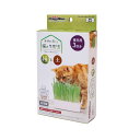 おうちで育てる 猫の生野菜 種と土 ドギーマンハヤシ 補充用3回分 日本製 国産 猫用品 猫草 毛玉ケア