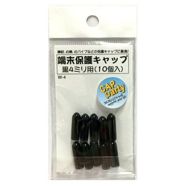 ĥ P-RP üݸå 4ߥ  10 W-4 :ꥮ   ݥѥ ü