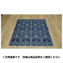 【配送不可|店頭受取限定】 イケヒコ レジャーマット メイズ 140cm×140cm レジャーシート アウトドア キャンプ