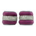 【訳あり】 アルインコ リストアンクルウエイト 0.5kg WBN305N