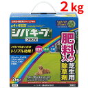 シバキープ プラスV 粒剤 肥料入り 2kg 芝生用 除草剤 レインボー薬品 家庭用 日本芝 雑草 駆除 農薬