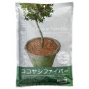 ココヤシファイバーナチュラル 100g プロトリーフ