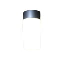 スワン電器 防湿ライト SWL-127 玄関灯 浴室灯 ポーチライト LED 40W相当 550lm 照明