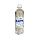 【配送不可|店頭受取限定】 伊賀の天然水 強炭酸水 500ml サンガリア