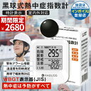 【2025最新モデル!】黒球式熱中症指数計 JIS適合品 JIS準拠 黒球付熱中症計 黒球型携帯熱中症計 WBGT アラーム RABLISS KO392 温度計測 熱中症対策 義務化 熱中症予防 熱中症 測定器 温度 熱中アラーム wbgt測定器 屋外