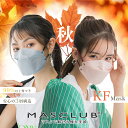 【2025秋対策!最大P5倍】マスク 不織布 立体マスク KFマスク 40枚 立体 不織布マスク 大きめ ふつう 小さめ くちばしマスク 韓国マスク バイカラー...