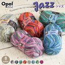 【1/1〜1/3は当店ポイント10倍】毛糸 opal オパール毛糸 中細 jazz ジャズ 4-fach 輸入 ドイツ ソックヤーン 靴下 秋冬毛糸 かぎ針 棒針 ニット 手編み 編み物 レディース ハンドメイド 帽子 マフラー スヌード ストール