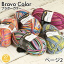 毛糸 パピー 輸入糸 並太 Schachenmayr Bravo Color ブラボーカラー 秋冬毛糸 かぎ針 棒針 ニット 手編み 編み物 レディース ハンドメイド 帽子 マフラー スヌード ストール