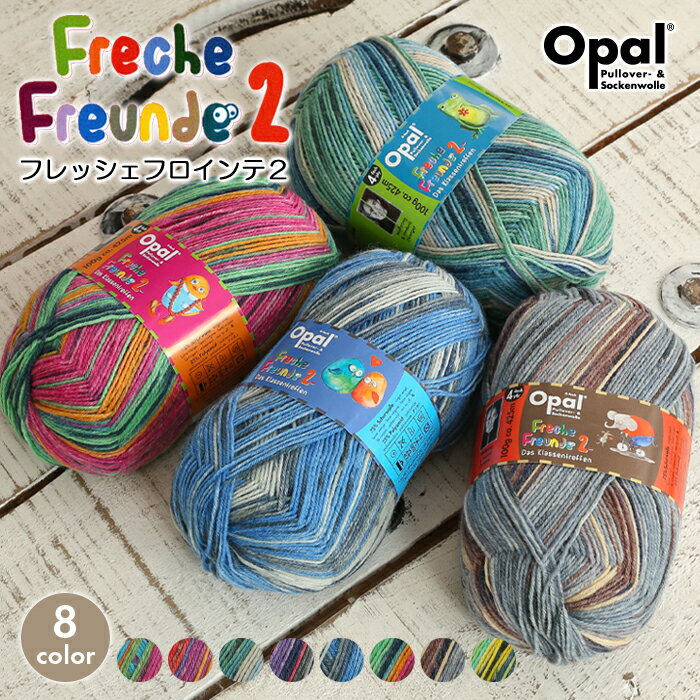 毛糸 opal オパール毛糸 中細 frechefreunde2 フレッシェフロインテ2 4-fach 輸入 ドイツ ソックヤーン 靴下 秋冬毛糸 かぎ針 棒針 ニット 手編み 編み物 レディース ハンドメイド 帽子 マフラー スヌード ストール