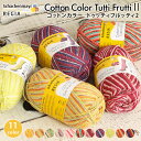 毛糸 輸入糸 Schachenmayr REGIA レギア 合細 CottonColorTuttiFrutti2 コットンカラートゥッティフルッティ2 ソックヤーン 靴下 春夏毛糸 かぎ針 棒針 ニット 手編み 編み物 レディース ハンドメイド 帽子 ストール