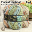 毛糸 opal オパール毛糸 中細 VincentVanGogh ヴィンセントヴァンゴッホ 4-fach 輸入 ドイツ ソックヤーン 靴下 秋冬毛糸 かぎ針 棒針 ニット 手編み 編み物 レディース ハンドメイド 帽子 マフラー スヌード ストール