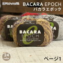 毛糸 並太 リッチモア バカラエポック 日本製 秋冬毛糸 モヘア アルパカ ウール 段染 かぎ針 棒針 ニット 手編み 編み物 レディース 手芸 ハンドメイド 手作り 帽子 マフラー スヌード ストール セーター ベスト