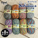 【1/1~1/3は当店ポイント10倍!】毛糸 まとめ買い 福袋 毛糸 opal オパール毛糸 中細 Holidays ホリデイズ 4-fach 輸入 ドイツ ソックヤーン 靴下 秋冬毛糸 かぎ針 棒針 ニット 手編み 編み物 レディース ハンドメイド 帽子 マフラー スヌード ストール