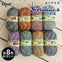 毛糸 まとめ買い 福袋 毛糸 opal オパール毛糸 中細 Holidays ホリデイズ 4-fach 輸入 ドイツ ソックヤーン 靴下 秋冬毛糸 かぎ針 棒針 ニット 手編み 編み物 レディース ハンドメイド 帽子 マフラー スヌード ストール