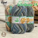 毛糸 opal オパール毛糸 中細 schafpate14 シャーフパーテ 4-fach 輸入 ドイツ ソックヤーン 靴下 秋冬毛糸 かぎ針 棒針 ニット 手編み 編み物 レディース ハンドメイド 帽子 マフラー スヌード ストール