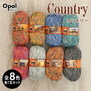 【SSクーポン配布中!】毛糸 まとめ買い 福袋 opal オパール毛糸 中細 Country カントリー 4-fach 輸入 ドイツ ソックヤーン 靴下 秋冬毛糸 かぎ針 棒針 ニット 手編み 編み物 レディース ハンドメイド 帽子 マフラー スヌード ストール