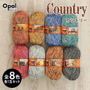 【5/1は当店ポイント11倍！】毛糸 まとめ買い 福袋 opal オパール毛糸 中細 Country カントリー 4-fach 輸入 ドイツ ソックヤーン 靴下 秋冬毛糸 かぎ針 棒針 ニット 手編み 編み物 レディース ハンドメイド 帽子 マフラー スヌード ストール