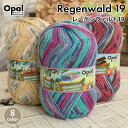 毛糸 opal オパール毛糸 中細 regenwald19 レーゲンヴァルト19 4-fach 輸入 ドイツ ソックヤーン 靴下 秋冬毛糸 かぎ針 棒針 ニット 手編み 編み物 レディース ハンドメイド 帽子 マフラー スヌード ストール