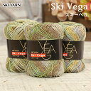 【楽天スーパーセール特別奉仕品】毛糸 セール スキー毛糸 スキーベガ 在庫処分 日本製 毛糸 サマーヤーン 夏糸 アクリル レーヨン ボーダー かぎ針 棒針 手...