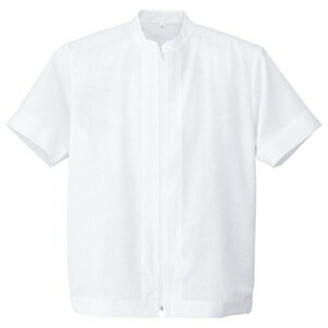 ȥ Ⱦµȡ˽ѡ 顼ۥ磻 4L ʥϥ󥽥ǥѡ HH1002001