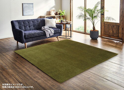 イケヒコ・コーポレーション ラグ モデルノ約1.5畳 約130×185cm グリーン