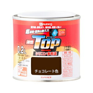 カンペハピオ 油性トップガード チョコレート 0.2L