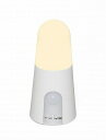 アイリスオーヤマ 乾電池式LEDセンサーライト スタンドタイプ 電球色 BSL40SL-WV2(3)