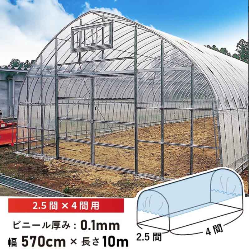 第一ビニール 屋根用ハウスビニール2.5間×4間 厚み0.1mmx幅570cmx長さ10m 農業用ビニール ビニールハウス 透明 屋根用daim