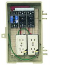 未来工業 屋外電力用仮設ボックス 漏電しゃ断器・分岐ブレーカ・コンセント内蔵 ELB組込品 2A-2CT 2A-2CT(4)