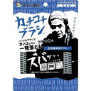 KBセーレン そうじの神様 カッチコチブラシ 生活雑貨用 グレー S055(3)