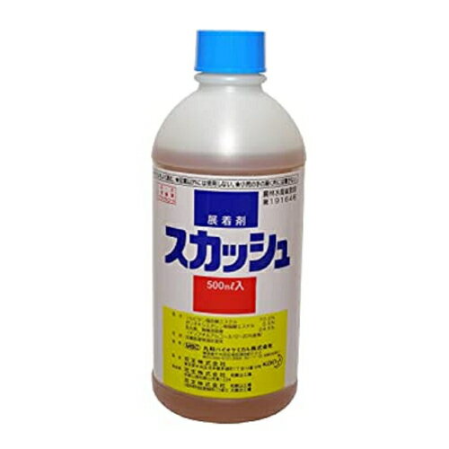 丸和バイオケミカル スカッシュ 500ml