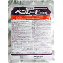 住友化学 ベンレート水和剤 100g