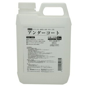 ワンウィル EASY&COLOR専用アンダーコート 2Kg RM−11