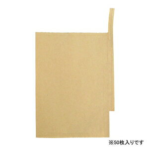 一色本店 果実袋びわ K−3 50マイイリ