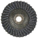 BS BS五種目サンダー 100X15 ホソメ