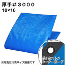 厚手ブルーシート #3000 屋外使用目安約1年 呼称10×10 実寸約9.7x9.7m