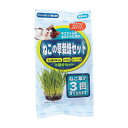 【セット販売】 ねこ草栽培セット3回分 (×8セット) アラタ