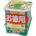 【セット販売】 ペティオ(Petio) ネコの元気草 3コパック×6セット ペティオ