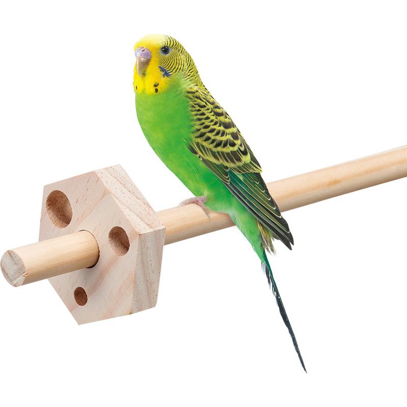 ڥå CASA ĻͷӾ ե󥰥å (8å) ޥ륫